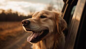 dorado perdiguero perrito sentado en naturaleza belleza generado por ai foto