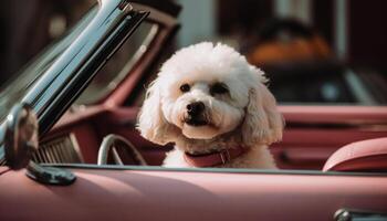 Cute puppy sitting in vintage car window generated by AI photo