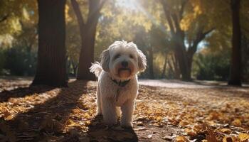 Cute terrier puppy sitting in autumn forest generated by AI photo