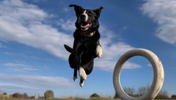 Jumping purebred dog brings summer fun and happiness generated by AI photo