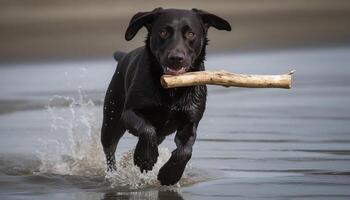 Cute wet puppy splashing in nature water generated by AI photo