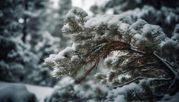 escarchado pino rama adornado con copos de nieve, tranquilidad generado por ai foto