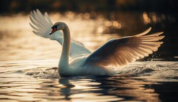 The elegant mute swan glides on water generated by AI photo