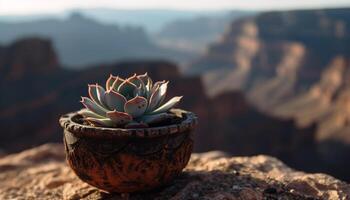 un suculento planta prospera en árido clima generado por ai foto