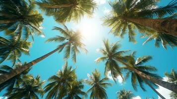 Coconut palm trees perspective view for background. Grnerative Ai. photo