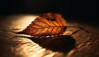 Vibrant autumn foliage backlit by golden sunlight generated by AI photo