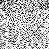 Cheetah camouflage skin pattern. Cheetah animal dot pattern background vector