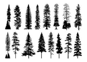 Silhouettes of cypress trees and pine trees. Set of pine, fir trees vector