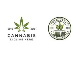 canabis hoja logo vector icono. médico marijuana logo emblema. canabis emblema logo diseño