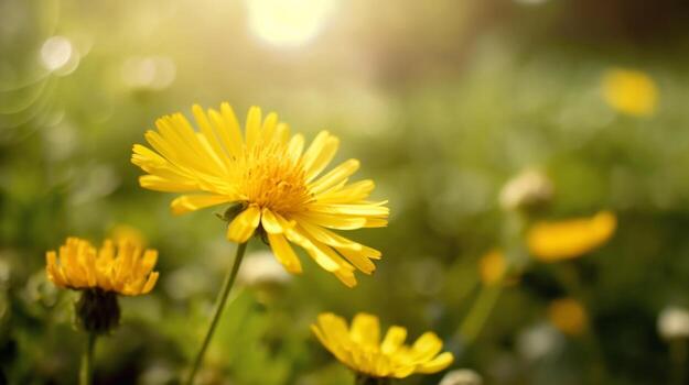 cerca arriba de hermosa amarillo flores y brillante difuminar naturaleza antecedentes con Copiar espacio. generativo ai foto