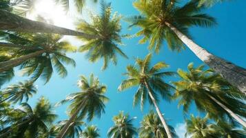 Coconut palm trees perspective view for background. Grnerative Ai. photo