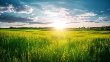 Land scape image of Extensive lawn and blue sky, white clouds and the sun on the horizon. photo