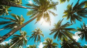 Coconut palm trees perspective view for background. Grnerative Ai. photo