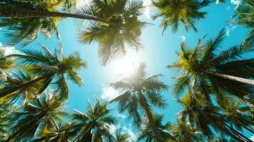 Coconut palm trees perspective view for background. Grnerative Ai. photo