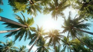 Coconut palm trees perspective view for background. Grnerative Ai. photo