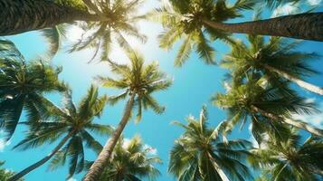 Coconut palm trees perspective view for background. Grnerative Ai. photo
