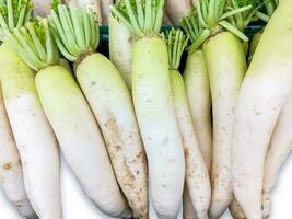 montón de vista superior de rábano blanco japonés en el mercado fresco. foto