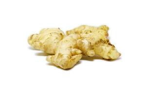 Raw ginger root isolate on white background. Ginger root originated as ground flora of tropical lowland forests in regions from the Indian. Widely used as a spice or a folk medicine. photo