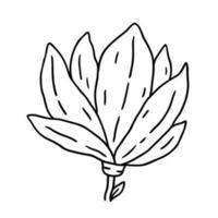 magnolia flor aislado en blanco antecedentes. vector dibujado a mano ilustración en contorno estilo. Perfecto para tarjetas, decoraciones, logo, varios diseños botánico clipart.