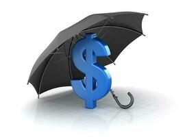 Black umbrella protect to dollar photo