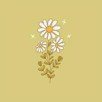 White chamomile flowers. Twig with three flowers daisy. Vector