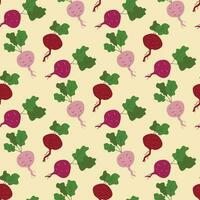 Seamless pattern with beets, hand drawn vector