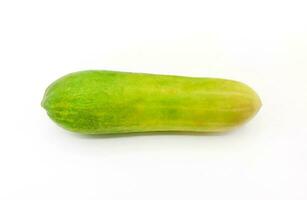 Fresh cucumber isolated on white background. Freshness vegetable, harvest and ingredients for cooking food. photo