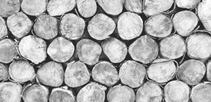 Many log, wood or timber stack for background in black and white tone. Art wallpaper, Natural material, Abstract and Round shape concept photo