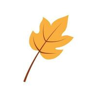 Maple leaf logo Template vector icon illustration design