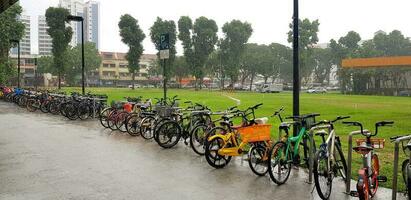 Singapore, Singapore - May 16, 2023 Many bicycle parking on raining day with green grass field and tree background with copy space at Singapore. Transportation and Nature photo
