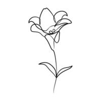 Continuous one line art drawing of beauty lily flower vector