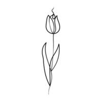 Continuous one line art drawing of beauty tulips flower vector