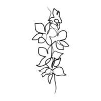 continuo uno línea Arte dibujo de belleza orquídea flor vector