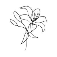 Continuous one line art drawing of beauty lily flower vector