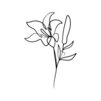 Continuous one line art drawing of beauty lily flower vector