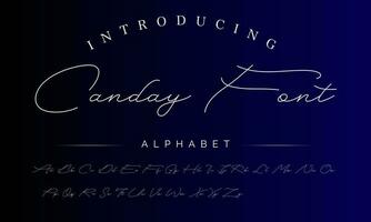 Signature Font Calligraphy Logotype Script Brush Font Type Font lettering handwritten vector