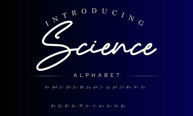 Signature Font Calligraphy Logotype Script Brush Font Type Font lettering handwritten