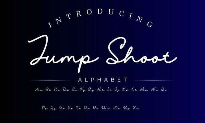 Signature Font Calligraphy Logotype Script Brush Font Type Font lettering handwritten