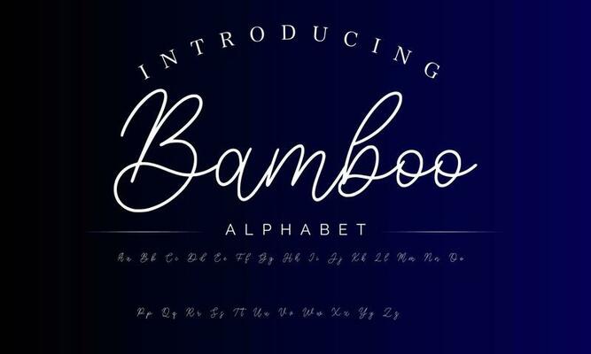 Signature Font Calligraphy Logotype Script Brush Font Type Font lettering handwritten
