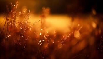 Glowing wildflowers illuminated in vibrant sunset light generated by AI photo