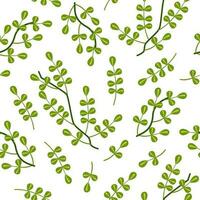 Vector seamless pattern of green Leaves. Image of summer natural plants. Illustration for wallpaper.