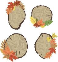 Set Wooden cut with Autumn leaves vector