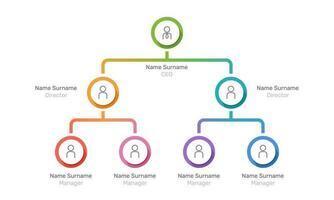 Business structure of company organization. Organizational chart Infographic, Diagram, Workflow, Teamwork. vector illustration.