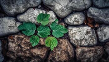 Fresco verde crecimiento en Roca pared fondo generado por ai foto