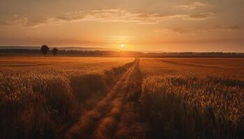 Golden wheat field embraces the sunset sky generated by AI photo