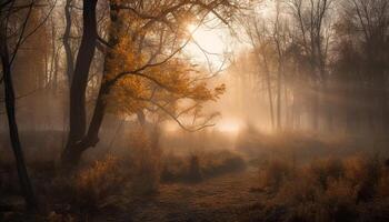 Mysterious fog drifts through autumn forest scenery generated by AI photo