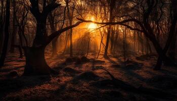 Spooky woods in autumn, mystery in nature generated by AI photo