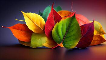 Vibrant autumn maple leaves, nature beauty showcased generated by AI photo