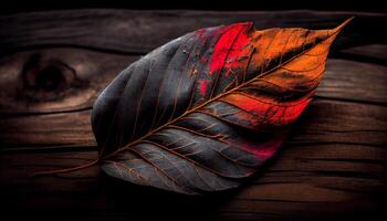 Autumn leaf falling, revealing intricate leaf vein generated by AI photo