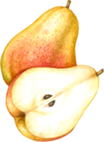 pera fruta aguarela elementos clipart png